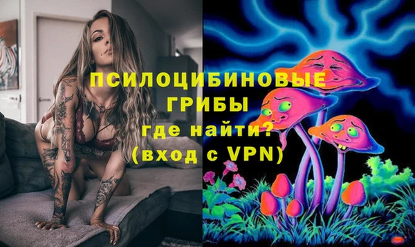 соль курить ск Новодвинск