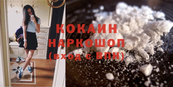 СК Новозыбков